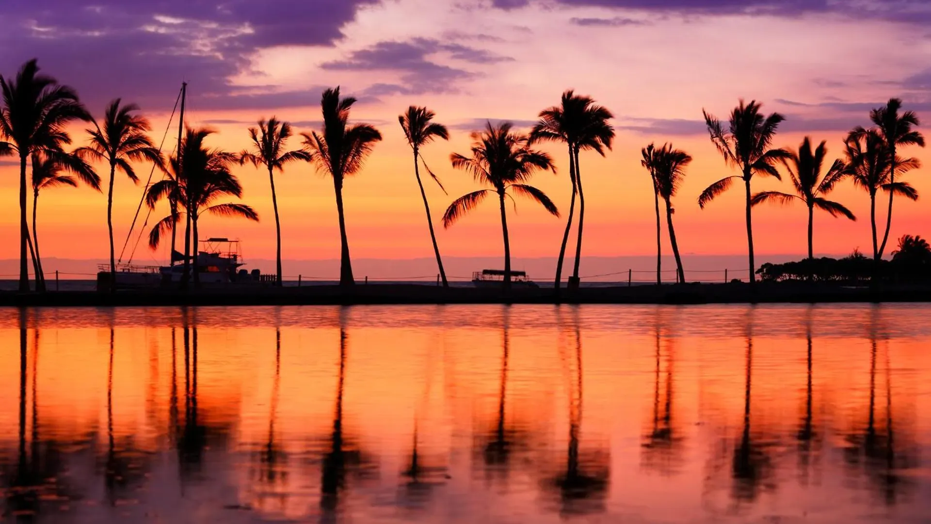Remodeled 1Br Ocean View Condo With Free Parking! Honolulu