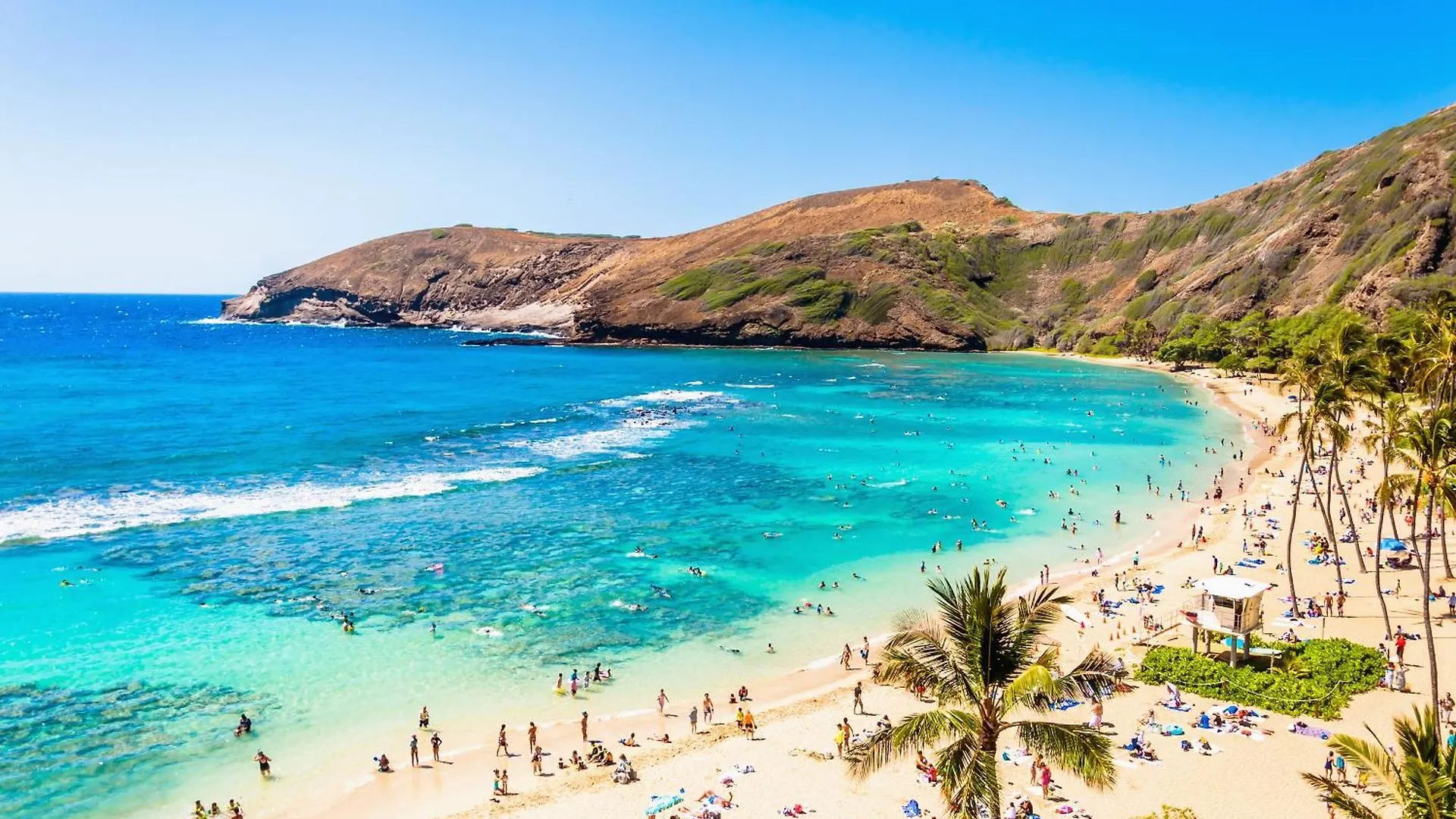 Remodeled 1Br Ocean View Condo With Free Parking! Honolulu 0*,  United States